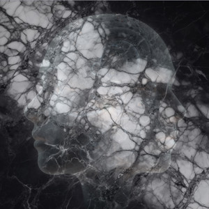 Voices in My Head