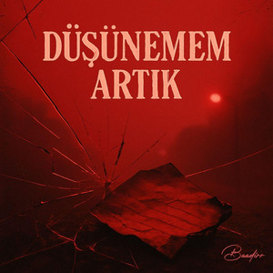 DÜŞÜNEMEM ARTIK by Baadirr