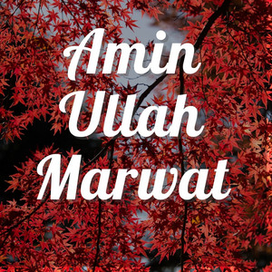 Amin Ullah Marwat - Da Miranshah Mutasereen