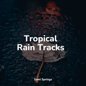 Tropical Rain Tracks album