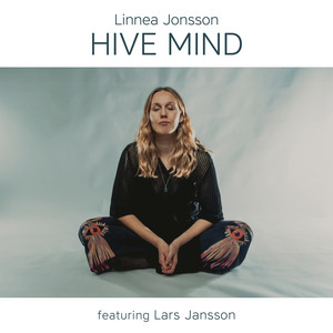 Conversations in the Night by Linnea Jonsson, Lars Jansson