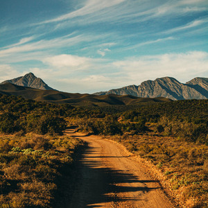 Red Desert Drive by Nathaniel Graham, Friend from Work