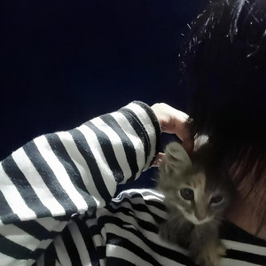 hunted1y - is it rec?