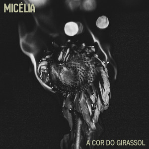 A Cor do Girassol by Micélia