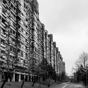 Adriano Zanni — Warosha (2026)