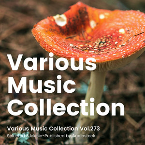 MATSU - Organic Kitchen