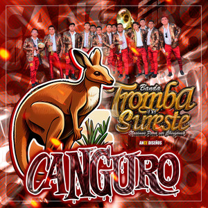 El paso del canguro