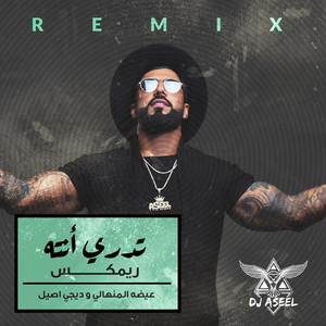 Eidha Al-Menhali & Djaseel - Tedry Entah ( Remix )