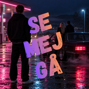 SE MEJ GÅ by NATTPATRULLEN