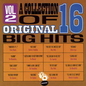Big [DVD] Hits: Music Milestones その他