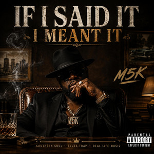 If I Said It I Meant It by M5K