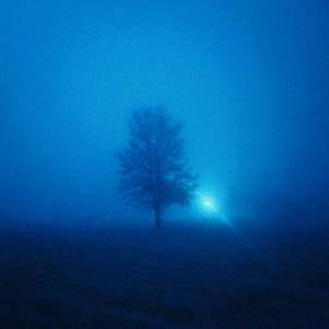 lucid dream by little light
