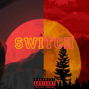 Portada de Switch
