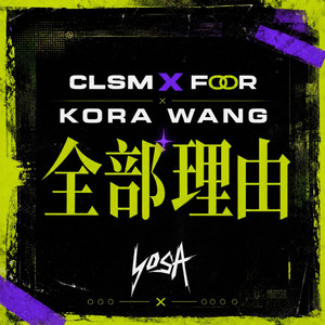 全部理由 by Kora Wang, CLSM, FooR