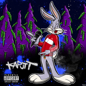 Portada de Kaputt