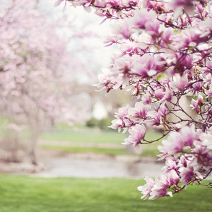 Serge Pavkin - It's Spring Time