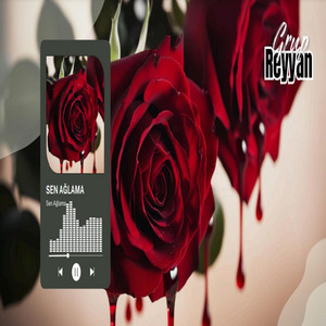 Yusuf Çetinkaya | Spotify