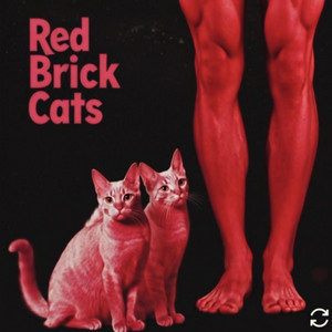 No More Running by Red Brick Cats