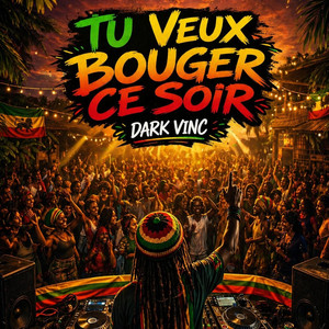 Tu veux bouger ce soir by Dark vinc music