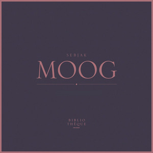 Moog (Radio Edit) by Sebjak cover art