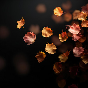 falling leaves by fizikz