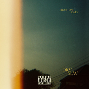 Portada de DRV SLW