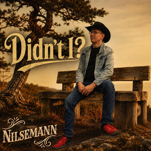 Didn't I by Nils 