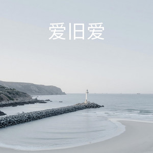 爱旧爱 by 刘成栋