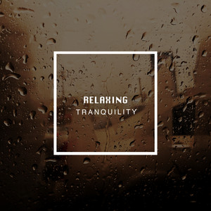 # 1 Album: Relaxing Tranquility album