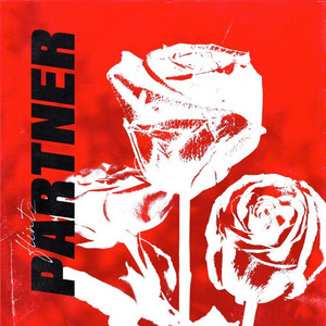 Partner by Flintz