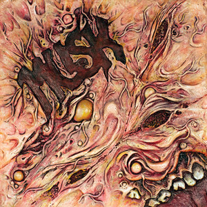Musk cover