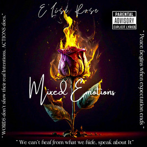 E'Lise Rosè - N****s Ain't Shit