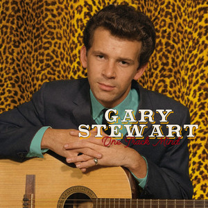 Williamson County by Gary Stewart