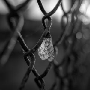 WE BOTH LET GO by BOSSGRL