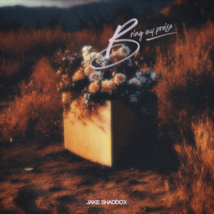 Bring My Praise by Jake Shaddox