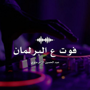 عبدالحسين الزيرجاوي - فوت ع البرلمان (Live)