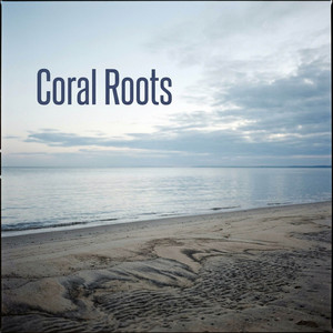 (Sittin' On) The Dock of the Bay by Coral Roots