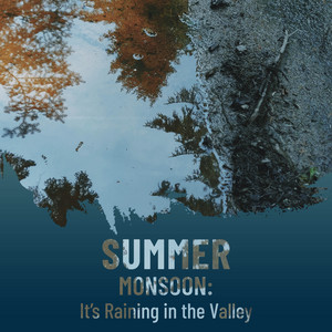 Summer Monsoon: It's Raining in the Valley album