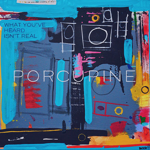 Distraction by Porcupine