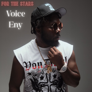 For The Stars - Radio Edit by Voice ENY