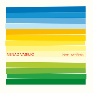 Straight to the point by Nenad Vasilic