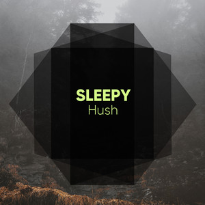# 1 Album: Sleepy Hush album