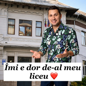 Îmi e dor de-al meu liceu by Flick Domnul Rima