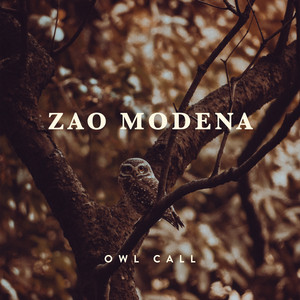 Owl Call by Zao Modena