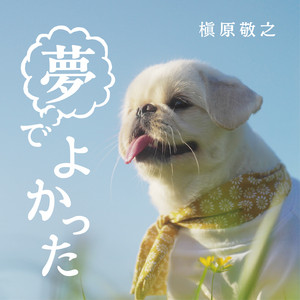 槇原敬之/Concert Tour 2022～宜候～ 槇原敬之 Concert Tour 2022 ～宜候～ - Album by Noriyuki Makihara