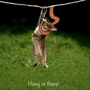 hang in there! by ONEMOREPACK