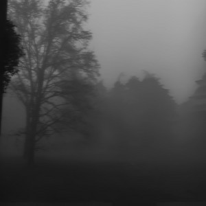 poison tree (Extended) - ultra slowed + reverb by Astrxplaya, dreamzz