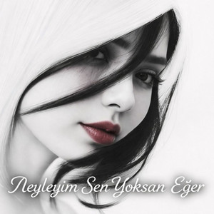 Neyleyim Sen Yoksan Eğer by Dargın
