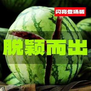 橙子辰 - 脱颖而出 (闪亮登场版)