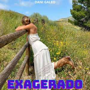 Exagerado by Dani Galeo